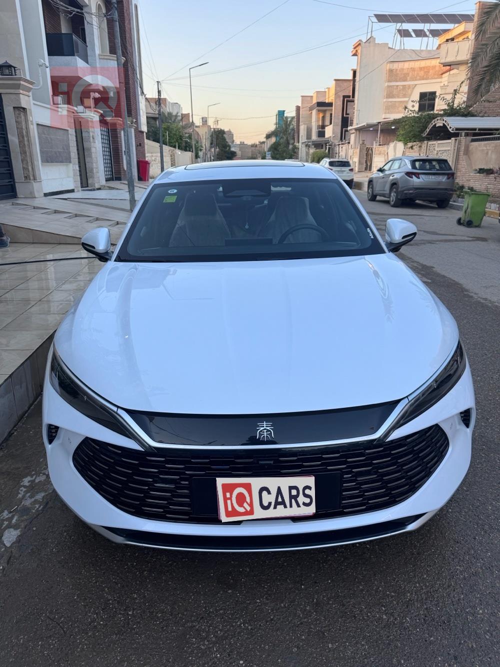 بي واي دي كوين L DM-i